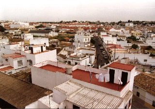 Gines