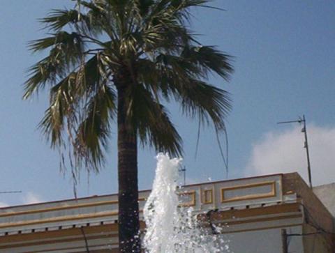 100_1168.jpg