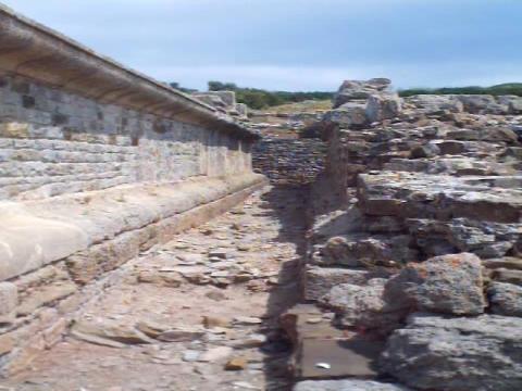 a0020.jpg