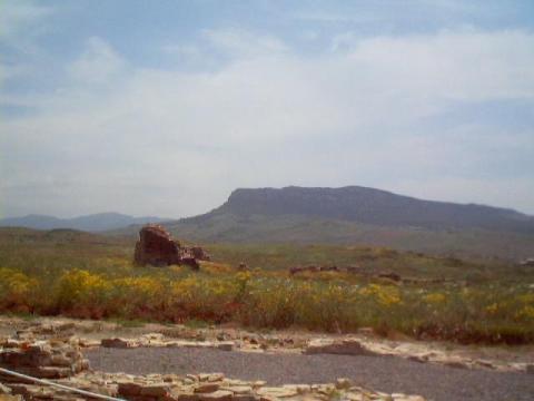 a0027.jpg