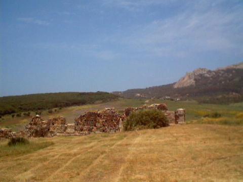 a0039.jpg