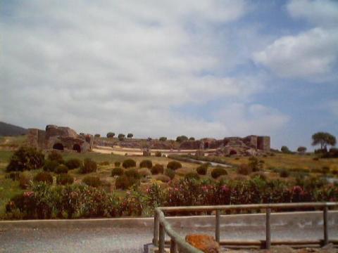 a0040.jpg