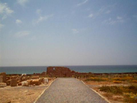 a0050.jpg