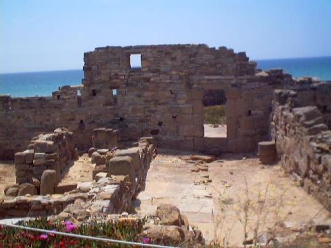 a0051.jpg