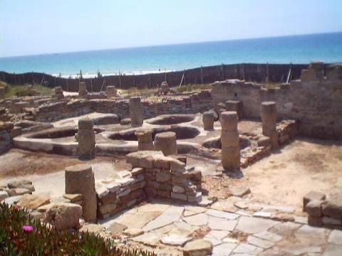 a0052.jpg