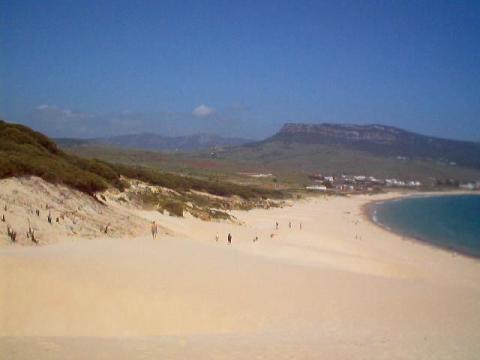 a0078.jpg