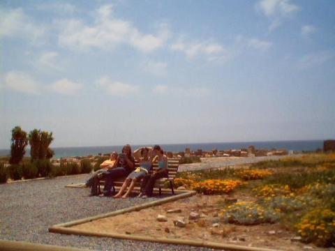 a048.jpg