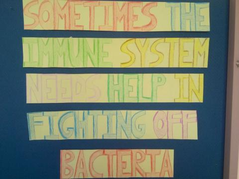 antibioticawareness_08.jpg