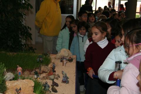belen06.jpg