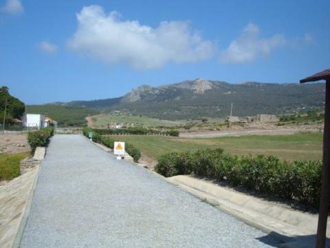 bolonia0003.jpg