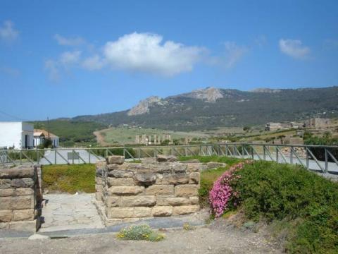bolonia0004.jpg