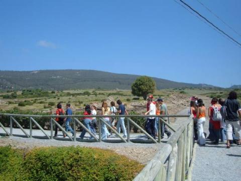 bolonia0005.jpg
