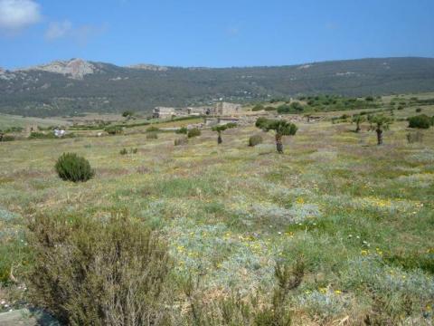 bolonia0006.jpg