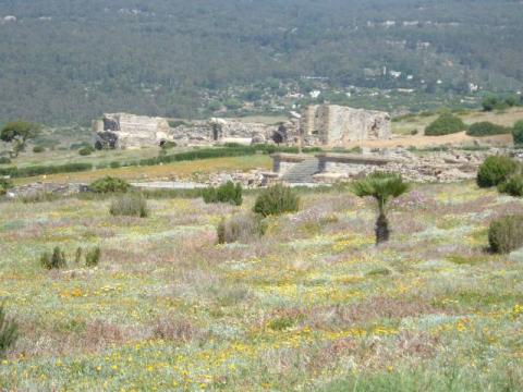 bolonia0007.jpg