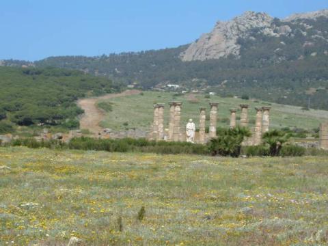 bolonia0008.jpg