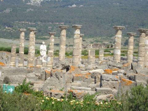 bolonia0012.jpg