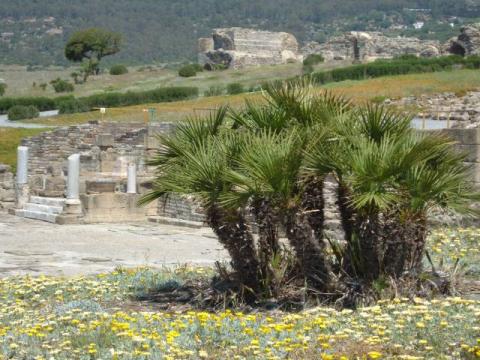 bolonia0016.jpg