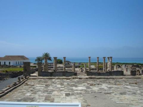 bolonia0023.jpg