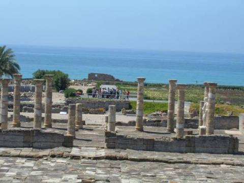 bolonia0027.jpg