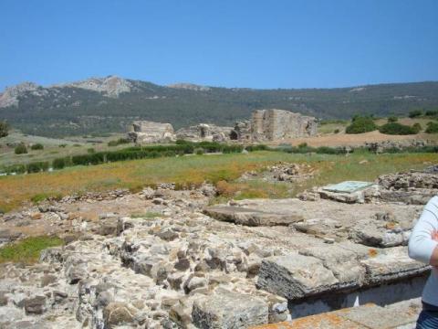 bolonia0029.jpg
