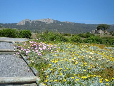 bolonia0038.jpg