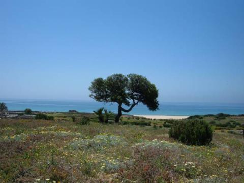 bolonia0048.jpg