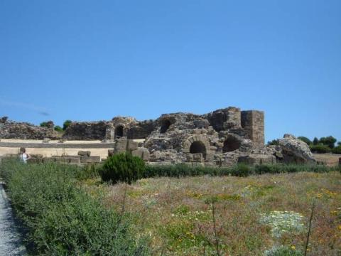 bolonia0052.jpg