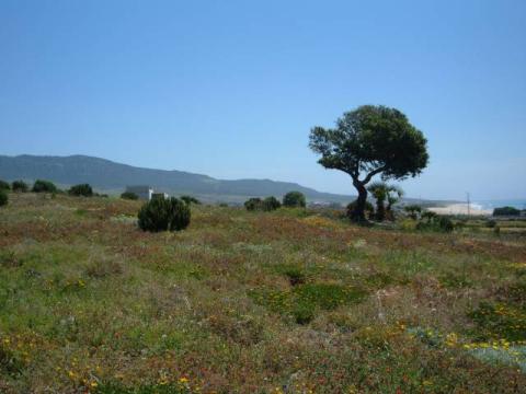 bolonia0053.jpg
