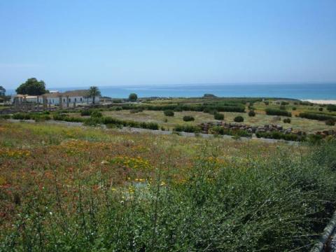 bolonia0054.jpg