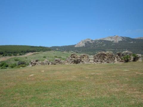 bolonia0055.jpg