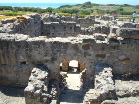 bolonia0058.jpg