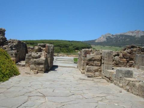 bolonia0062.jpg