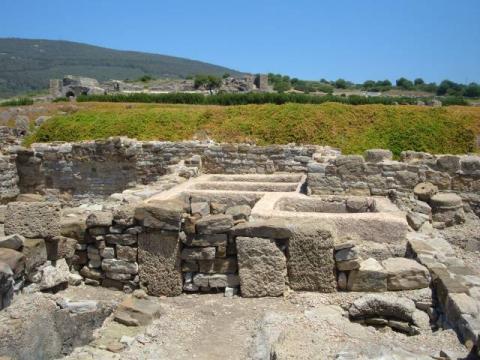 bolonia0064.jpg