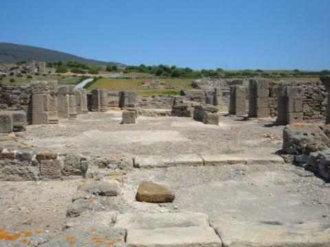 bolonia0066.jpg