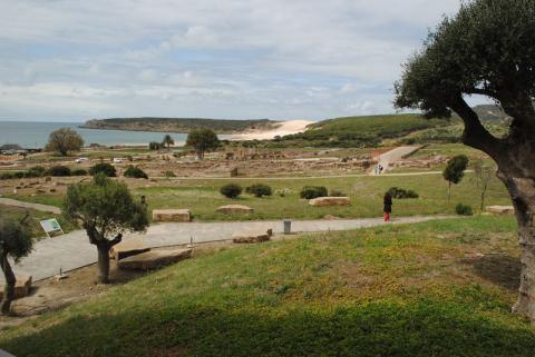 bolonia04.jpg