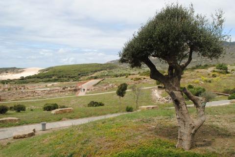 bolonia05.jpg