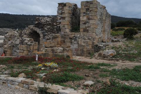 bolonia17.jpg