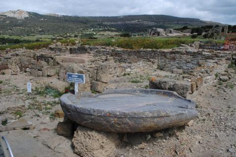 bolonia21.jpg