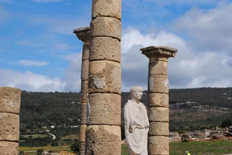 bolonia23.jpg