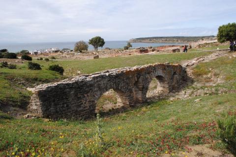bolonia29.jpg