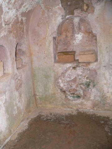 carmona07.jpg