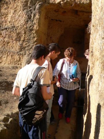 carmona14.jpg