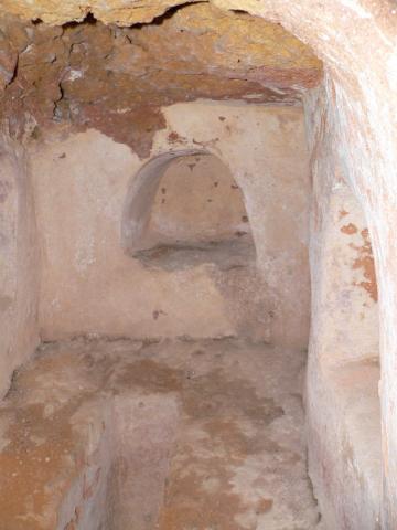 carmona22.jpg