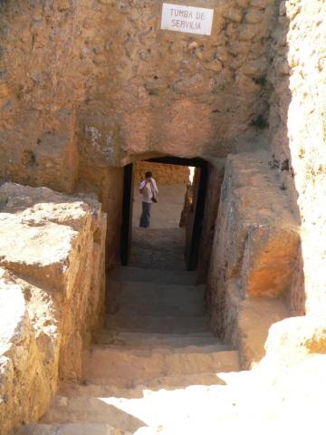 carmona24.jpg