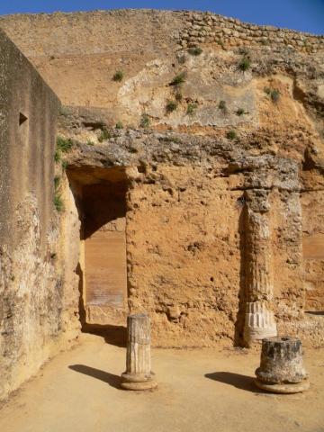 carmona31.jpg