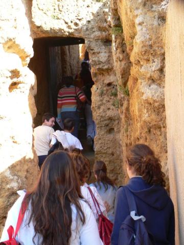 carmona36.jpg