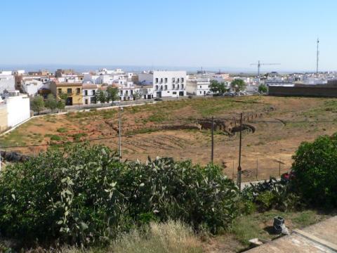 carmona54.jpg