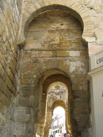 carmona_13.jpg