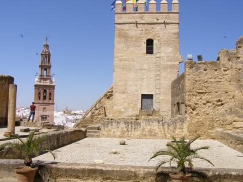 carmona_16.jpg