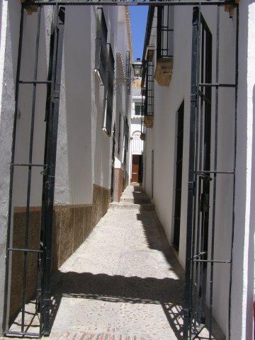 carmona_26.jpg